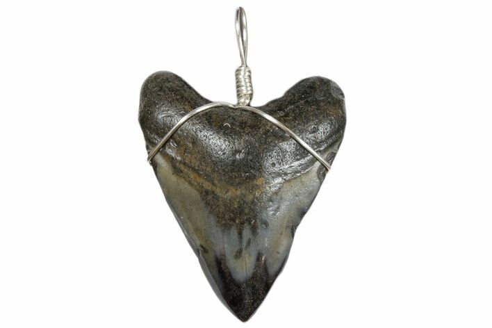 Fossil Megalodon Tooth Necklace #173868